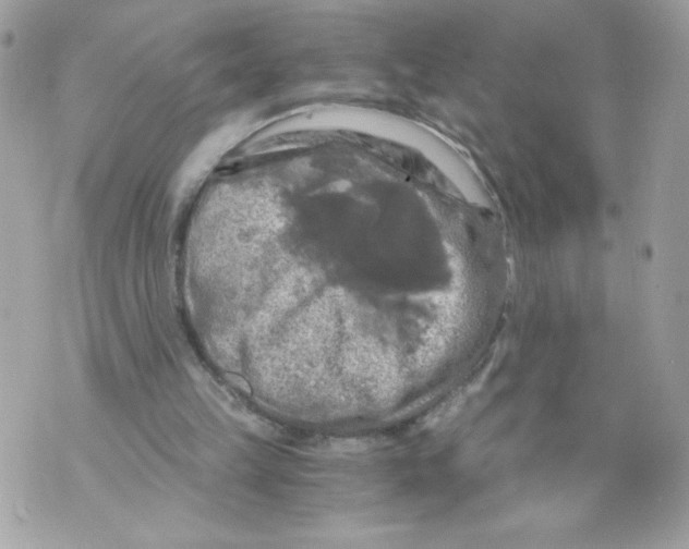 X0000069810149200606161858