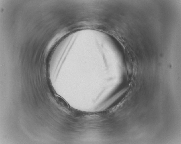 X0000069810150200606161858