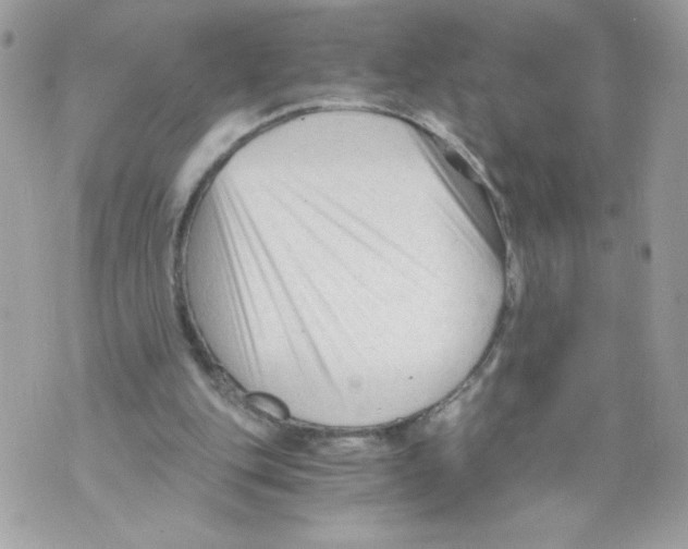 X0000069810151200606161858