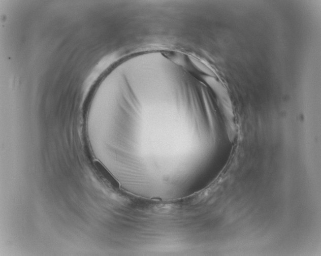 X0000069810152200606161858