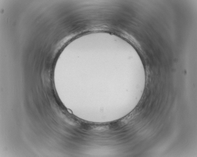 X0000069810155200606161858