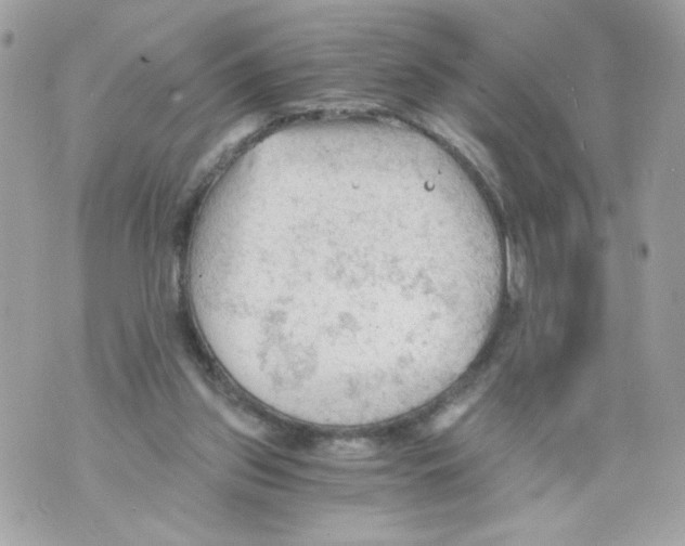 X0000069810157200606161858