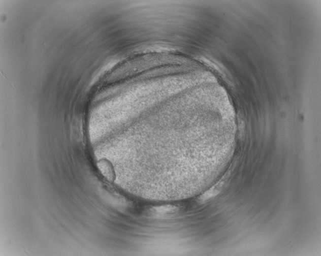 X0000069810158200606161858