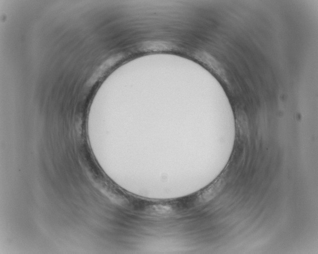 X0000069810159200606161858