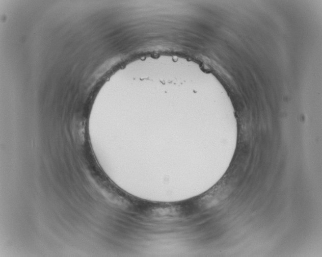 X0000069810160200606161858