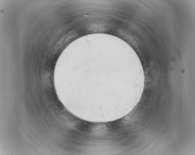 X0000069810162200606161858