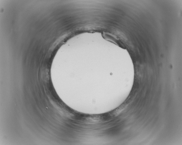 X0000069810164200606161858