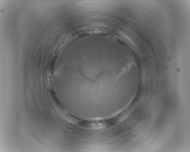 X0000069810169200606161858