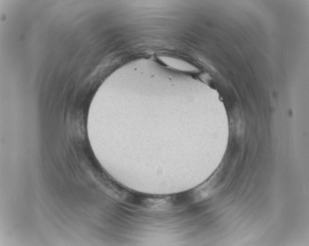 X0000069810170200606161858