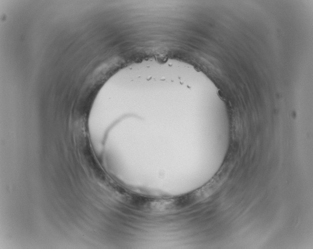 X0000069810172200606161858