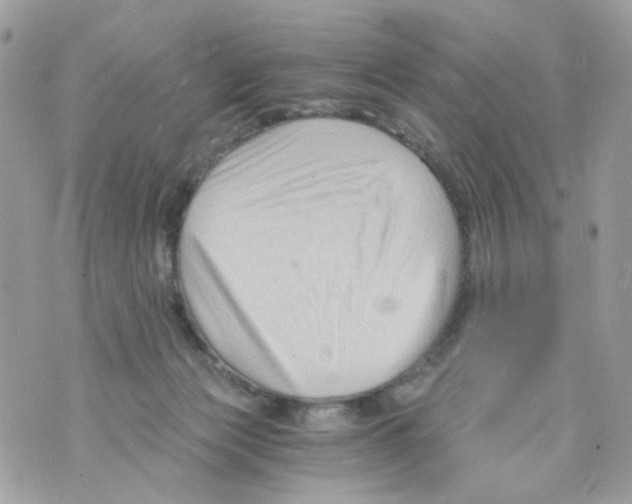 X0000069810173200606161858