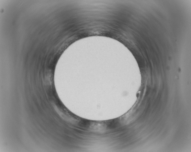 X0000069810174200606161858