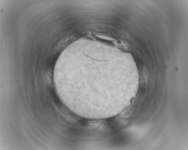 X0000069810175200606161858