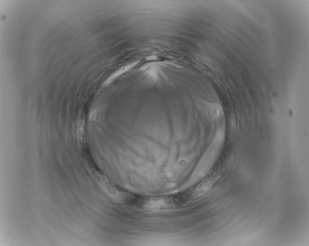 X0000069810177200606161859