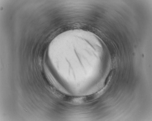 X0000069810178200606161859