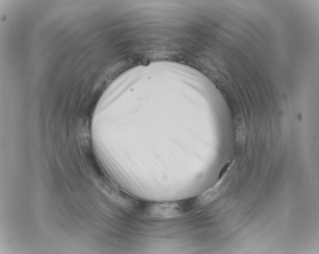 X0000069810179200606161859