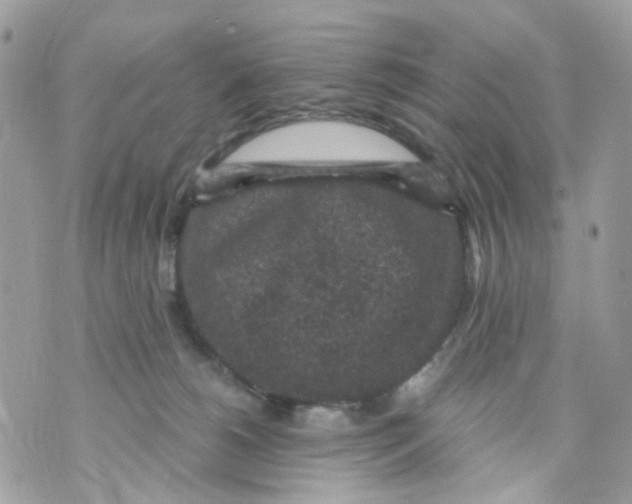 X0000069810180200606161859