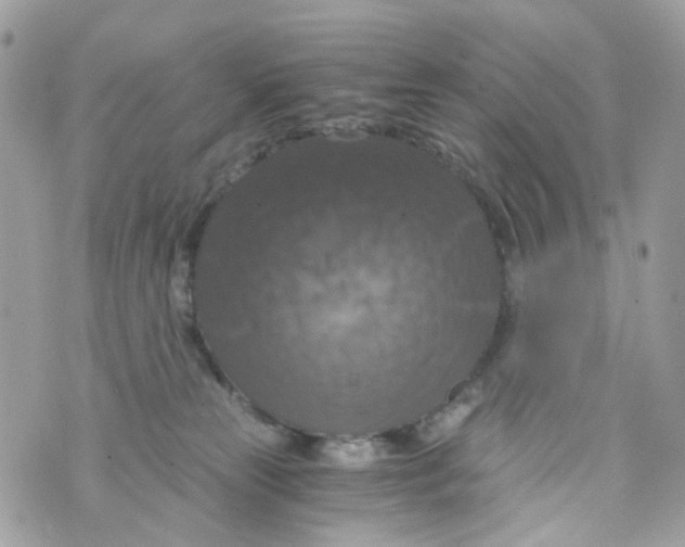 X0000069810181200606161859