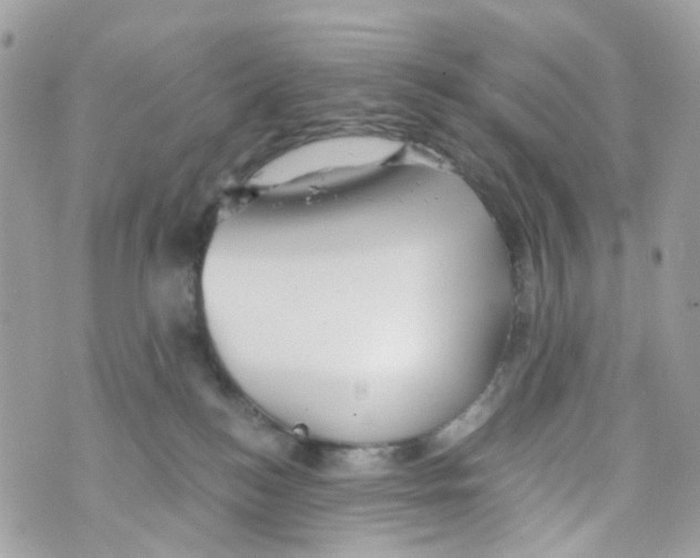 X0000069810184200606161859