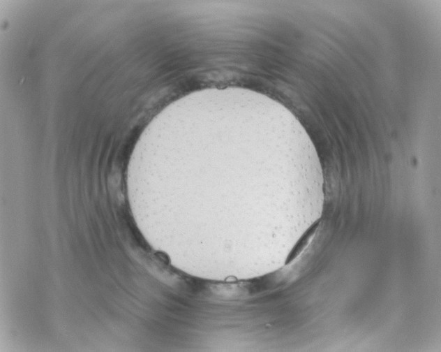 X0000069810187200606161859