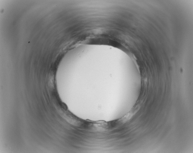 X0000069810188200606161859