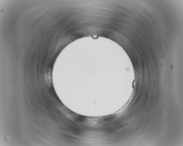 X0000069810190200606161859