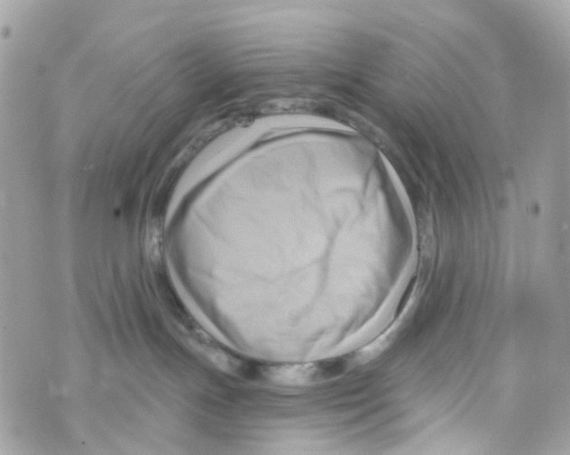 X0000069810191200606161859