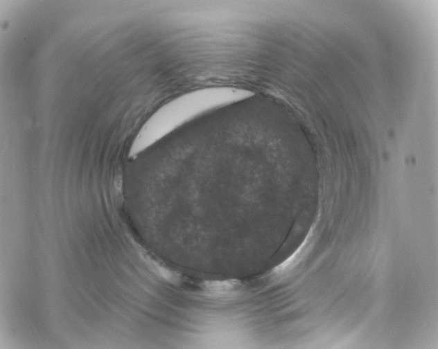 X0000069810192200606161859