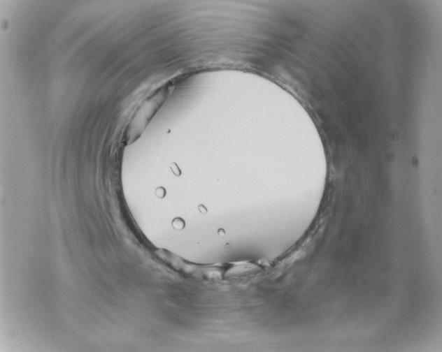 X0000069810193200606161858