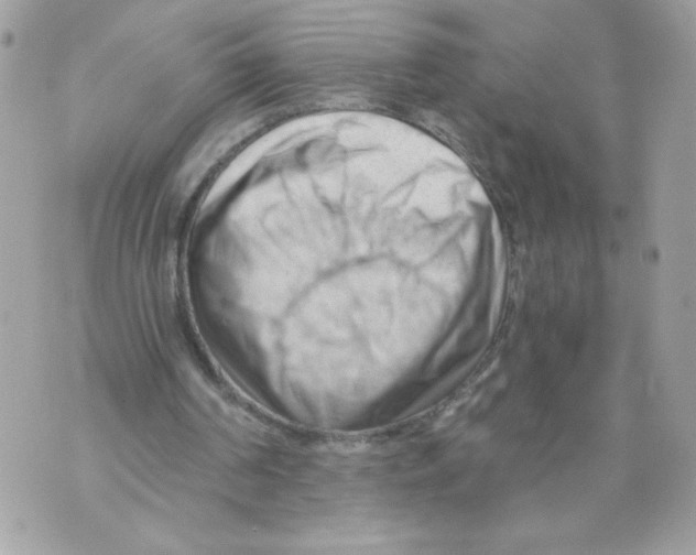 X0000069810194200606161858