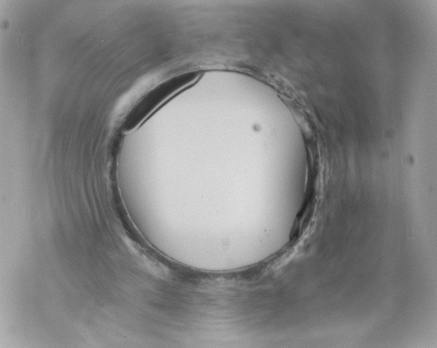 X0000069810197200606161858