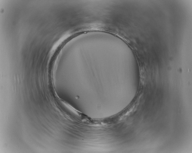 X0000069810200200606161858