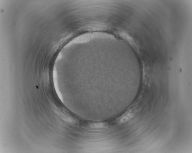 X0000069810202200606161858