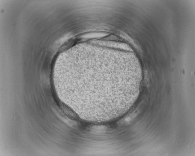 X0000069810203200606161858