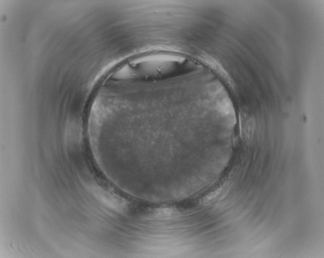 X0000069810204200606161858