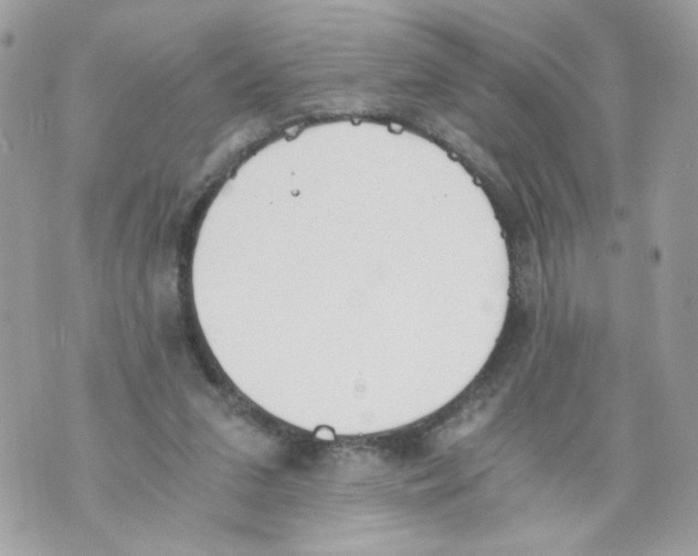 X0000069810207200606161858