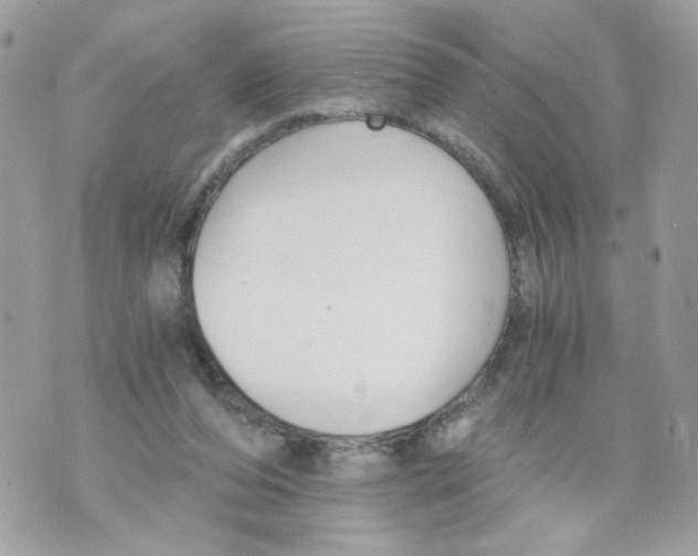 X0000069810208200606161858