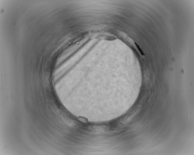 X0000069810209200606161858