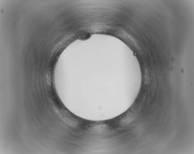 X0000069810210200606161858