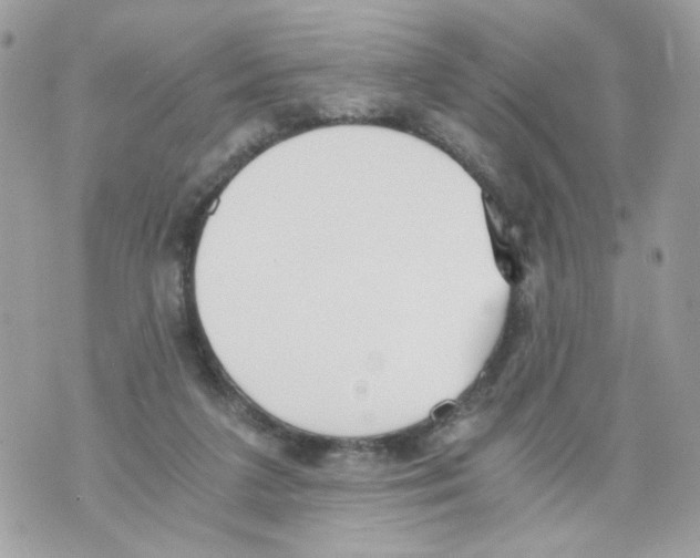 X0000069810211200606161858