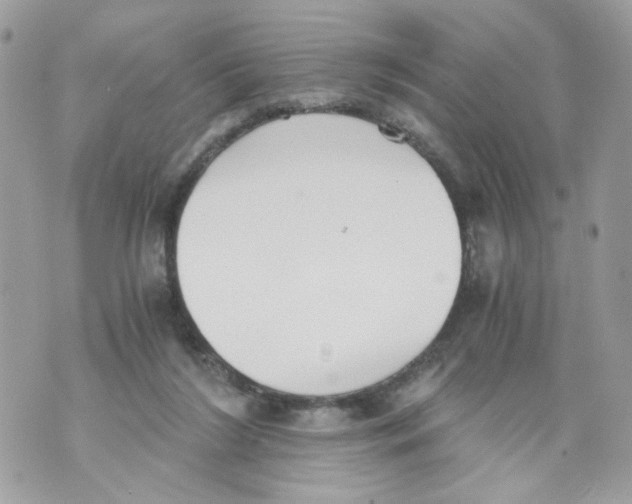 X0000069810212200606161858