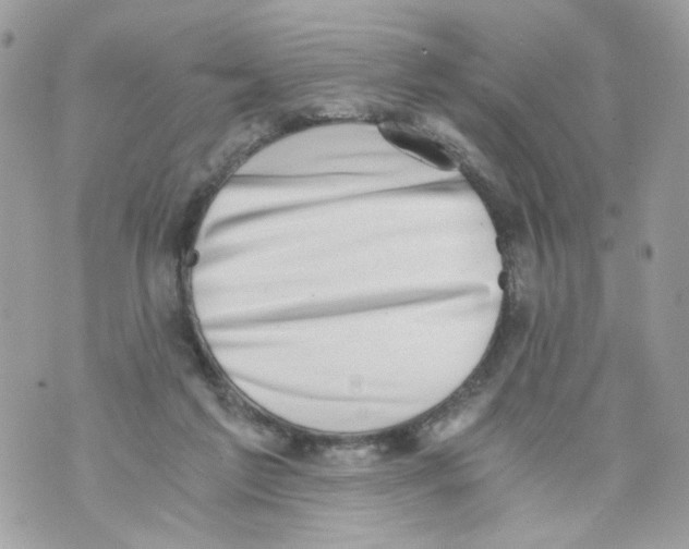 X0000069810213200606161858