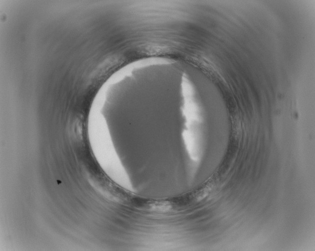 X0000069810214200606161858