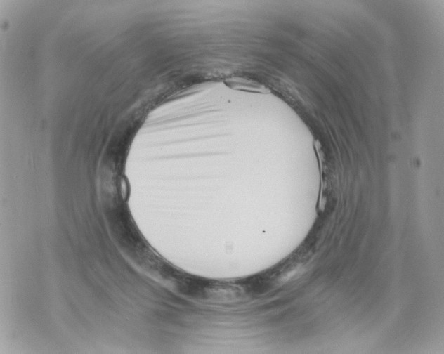 X0000069810215200606161858