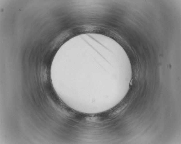 X0000069810216200606161858