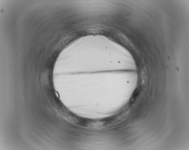 X0000069810217200606161858