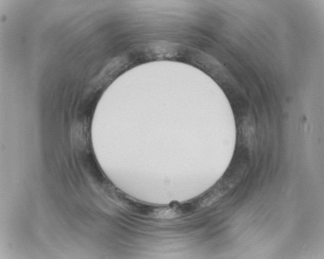 X0000069810218200606161858