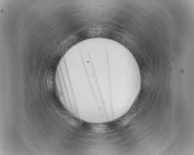 X0000069810226200606161857