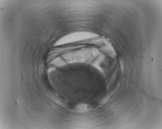 X0000069810227200606161857