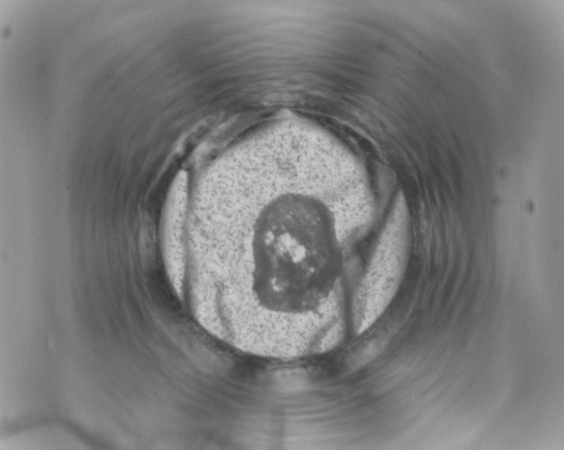 X0000069810228200606161857